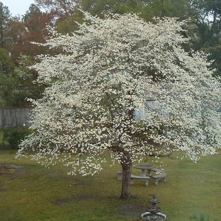 Bed and Breakfast Edenfield House Swainsboro Esterno foto